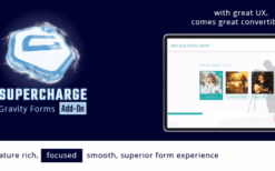 Gravity Forms Supercharge Add-On Satın Al İndir