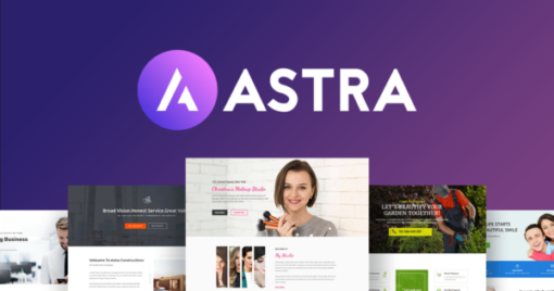 astra pro (v4.6.5) astra theme (v4.6.8)