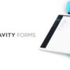 gravity forms (v2.8.7.2) + latest addons pack
