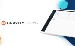 gravity forms (v2.8.7.2) + latest addons pack