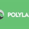 polylang pro (v3.6.1)Polylang Pro (v3.6.1)