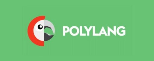 polylang pro (v3.6.1)Polylang Pro (v3.6.1)