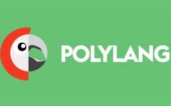 Polylang Pro (v3.6)