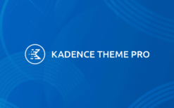 [v1.1.46] kadence pro v1.0.20 + theme v1.1.15 + blocks pro v2.3.6 + all addons