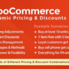 WooCommerce Dynamic Pricing & Discounts v2.4.6