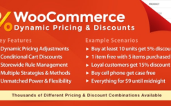 WooCommerce Dynamic Pricing & Discounts v2.4.6