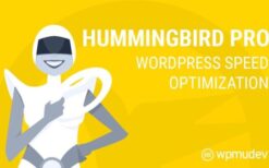 WPMU DEV Hummingbird Pro v3.7.3