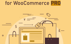 Discount Rules for WooCommerce PRO v2.6.3 By FlyCart