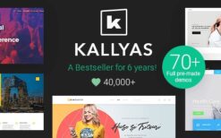 kallyas v4.19.4 responsive multi purpose wordpress theme