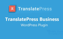 translatepress pro v2.7.5 + business v1.3.9
