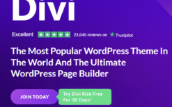 Divi v4.24.2 (Theme + Builder + Extra Theme )