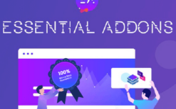 Essential Addons for Elementor Pro (v5.8.9) [Activated]