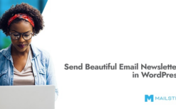 mailster (v4.0.8) email newsletter plugin for wordpress