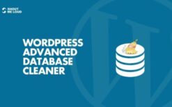 wordpress advanced database cleaner pro (v3.2.9)