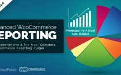Advanced WooCommerce Reporting 