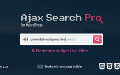 ajax search pro (v4.26.7) live wordpress search filter plugin