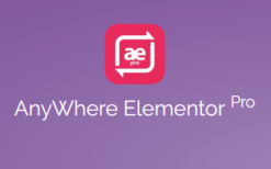 Anywhere Elementor Pro v2.27