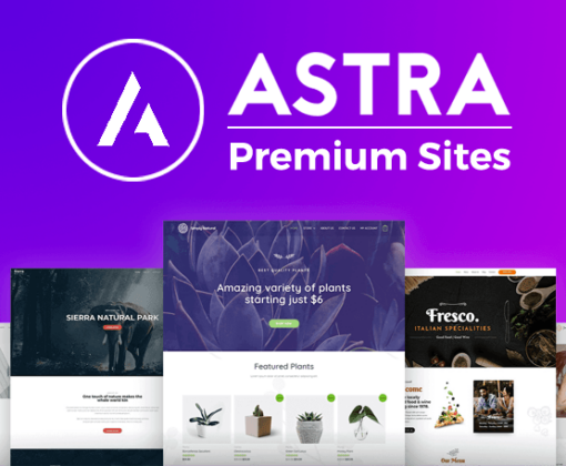 Astra Premium Starter Templates v4.0.13
