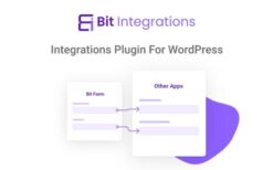 Bit Integrations Pro 