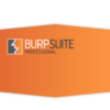Burp Suite Professional 2022.12.6 [100% Clean]