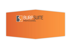 Burp Suite Professional 2022.12.6 [100% Clean]