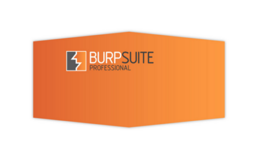 Burp Suite Professional 2022.12.6 [100% Clean]