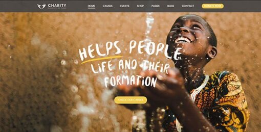 charity foundation v2.8 charity hub wp theme