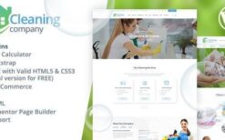 Cleaning Services v13.1 WordPress Theme