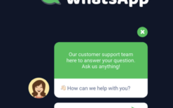 WordPress WhatsApp Support v2.4.3