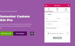 Elementor Custom Skin Pro