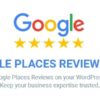 Google Places Reviews Pro WordPress Plugin v2.5.1