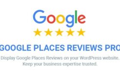 Google Places Reviews Pro WordPress Plugin v2.5.1