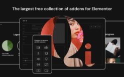 Qi Addons For Elementor Premium + Qode Essential Addons Premium