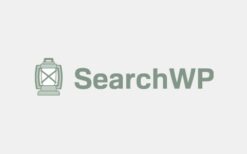 SearchWP v4.3.14 + Addons