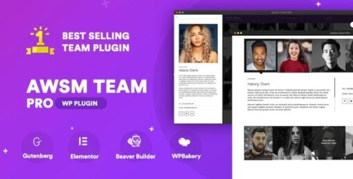 The Team Pro - Team Showcase WordPress Plugin AWSM Team Pro