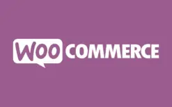 tiered pricing table for woocommerce (v6.3.0)Tiered Pricing Table for WooCommerce (v6.3.0)