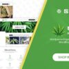 tijuana (v1.6.1) marijuana dispensary medical wordpress theme