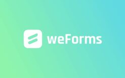 weForms Pro (Business) v.1.3.17