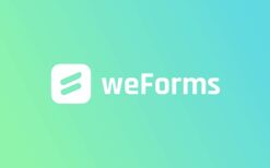 weForms Pro (Business) v.1.3.17