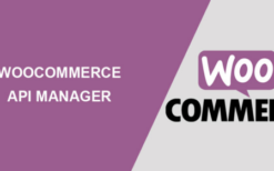 woocommerce apı manager v3.2.4