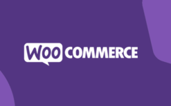 WooCommerce Give Products