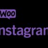 WooCommerce Instagram (v4.6.1)