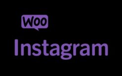WooCommerce Instagram (v4.6.1)