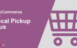 WooCommerce Local Pickup Plus v2.11.2