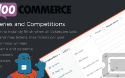 WooCommerce Lottery + WooCommerce Lottery Pick Number v2.4.2 [Bundle]