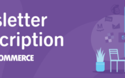 woocommerce newsletter subscription v4.1.0