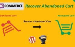 WooCommerce Recover Abandoned Cart v24.1.0 [CodeCanyon]