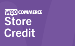 WooCommerce Store Credit (v4.5.1)