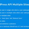 [] WordPress API Multiple Sites User Sync