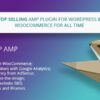 WP AMP v9.3.35 Accelerated Mobile Pages for WordPress and WooCommerce